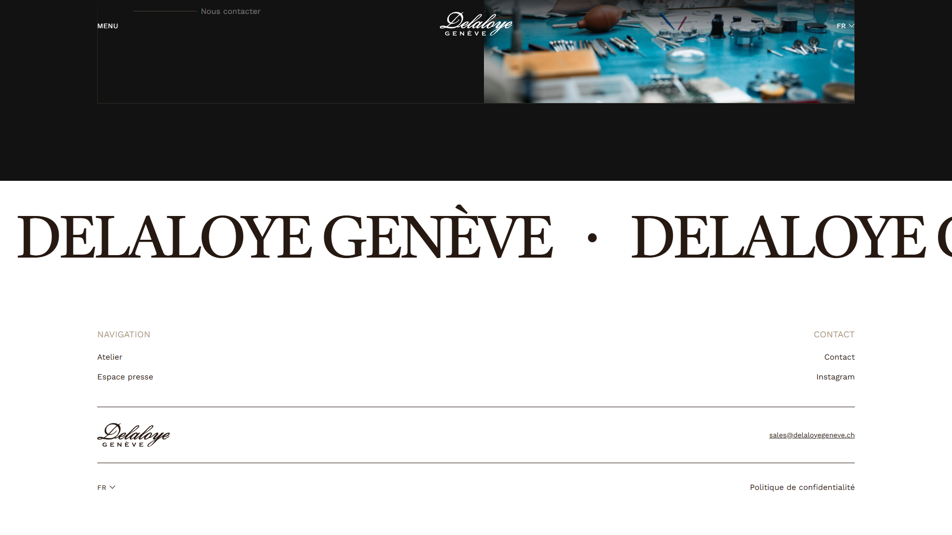 Footer du site de Delaloye